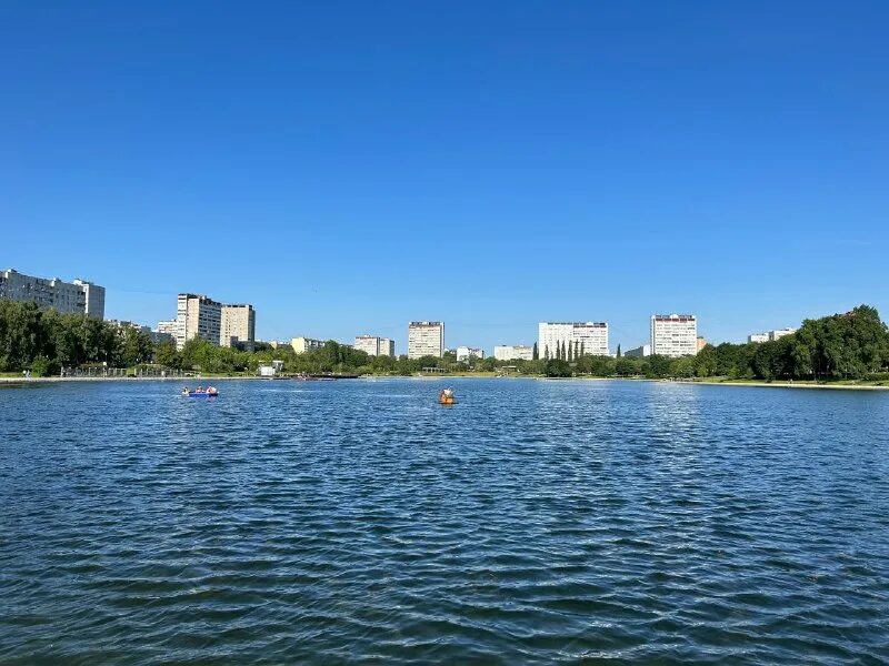 Гольяновский пруд в москве. Гольяновский парк и пруд. Гольяново новый парк. Озеро парк зеленоград. Алтайская улица москва.