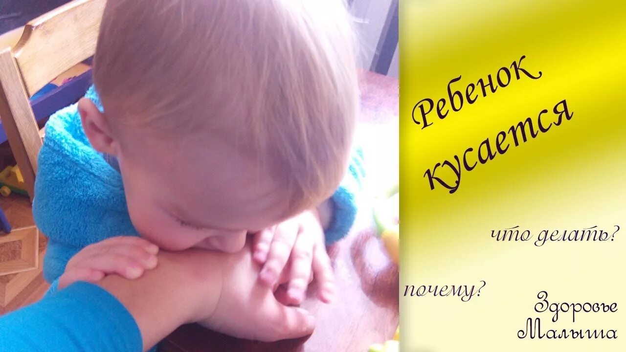 Ребенок огрызается с родителями. Ребенка укусил в садике другой ребенок. Консультация для родителей если ребенок кусается 2-3 лет. Искусали девочку в садике. Дети которые кусаются.