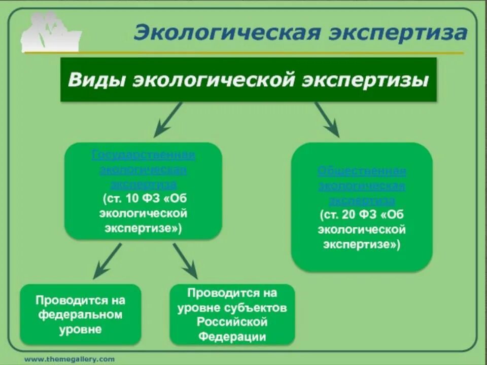 Направления экологической экспертизы