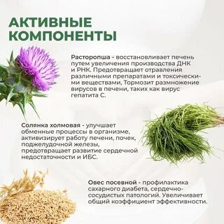 Расторопша очищает печень