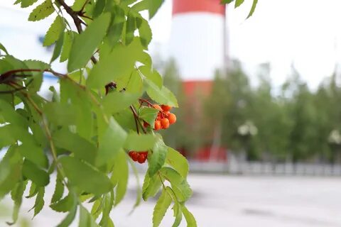 Погода в ноябре в когалыме