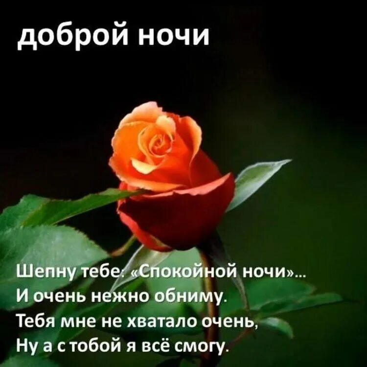 Спокойной ночи любимая стихи женщине красивые