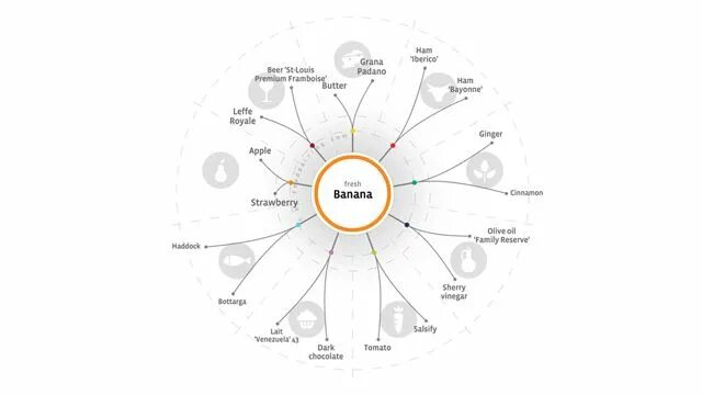 Фудпейринг это. Фудпейринг. дерево фудпейринга. foodpairing banana. кальмар фудпейринг.