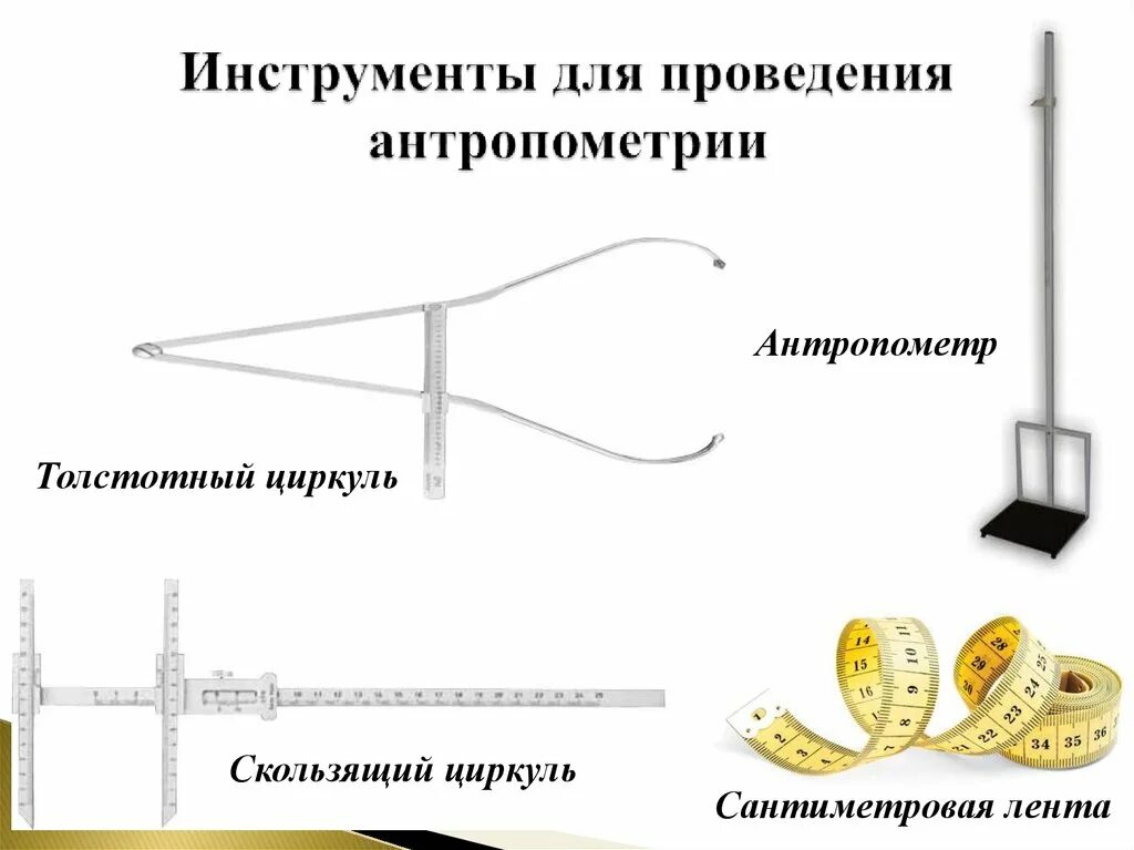 Проведение антропометрических измерений алгоритм