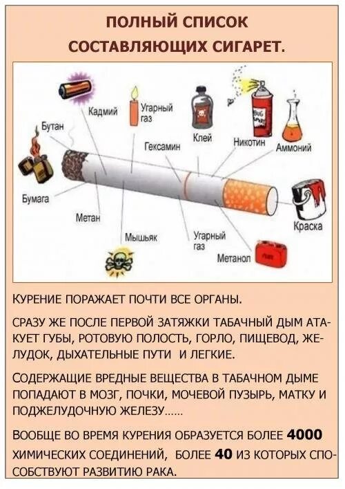 Сообщение о вреде сигарет. Вред наносимый организму курением