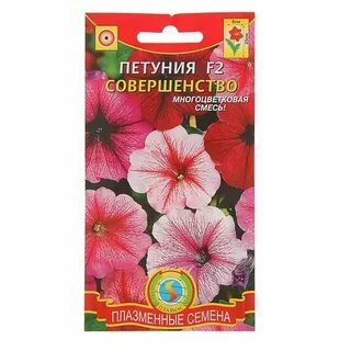 Семена цветов недорого