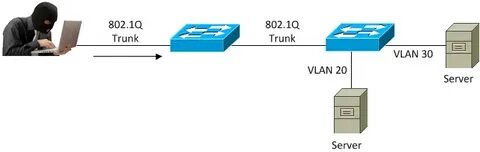 Trunk перевод
