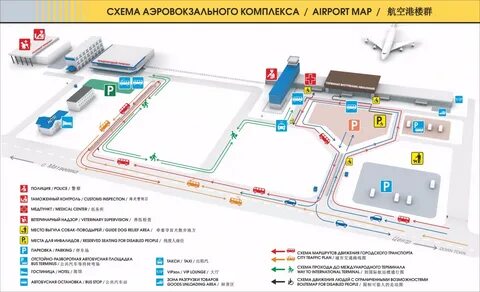 Аэропорт домодедово парковка для инвалидов