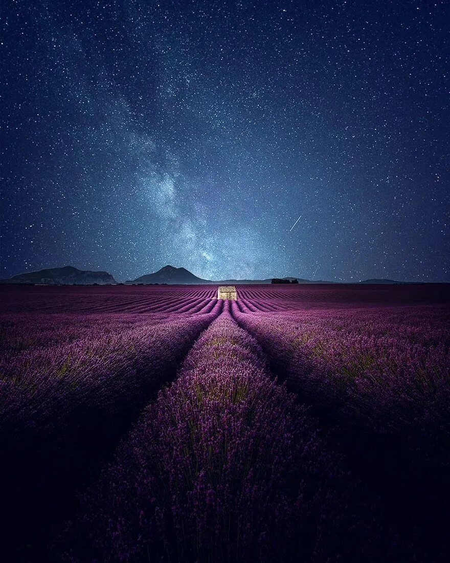 Above the stars in the field
