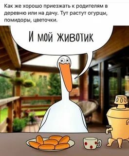 Удобно приехать