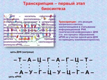 Какой размене