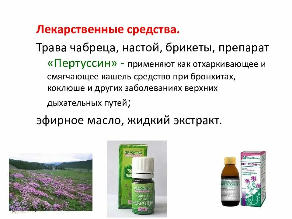 Овощи содержащие эфирные масла в повышенных количествах. Лекарственные растения содержащие эфирные масла. лрс содержащие эфирные масла. пертуссин лекарственное растительное сырье. лекарственное сырье содержащее эфирные масла.
