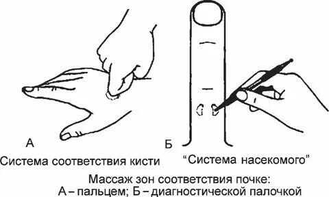 Показать как делают массаж простаты