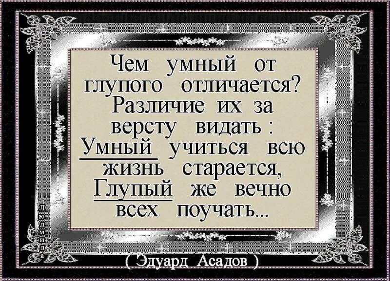 Высказывания про умных и глупых людей. Умный человек и глупый человек. Цитаты про умных и глупых. Учиться всю жизнь цитаты.