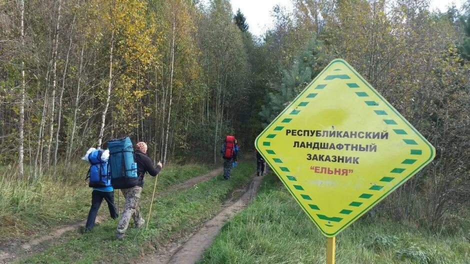 Смоленск ельня карта. Болото ельня на карте. Ельня как добраться. Ельня болота. Расстояние от смоленска до ельни.