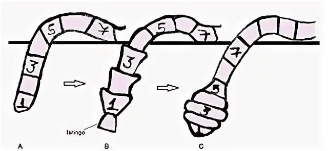 6 22 27