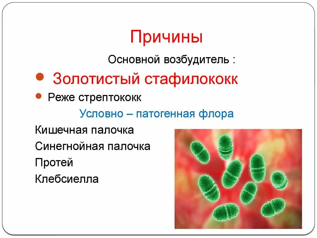 Какое заболевание вызывает стафилококк. Стафилококк синегнойная палочка. Синегнойная палочка возбудитель заболевания. Синегнойная палочка поражение. Стафилококки стрептококки синегнойная палочка.