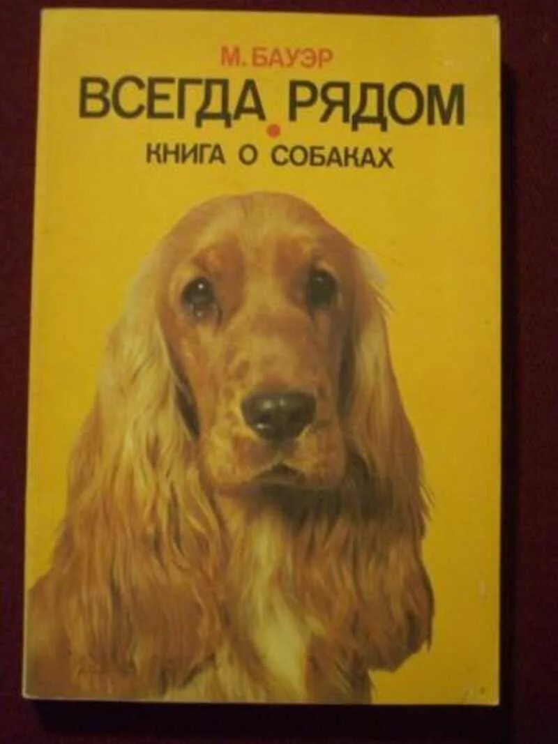 Книги о собаках отзывы. Книги про собак. Книга с собакой на обложке. Собака с книжкой. Книги о собаках Художественные.