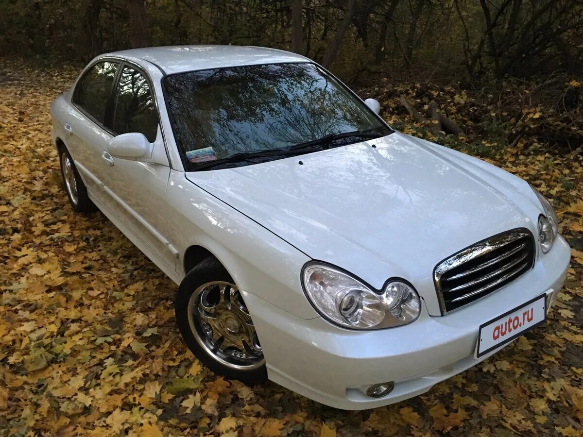 Sonata ef. Hyundai Sonata IV 2008 белый. Белая Hyundai Sonata IV. Хендай Соната 2005 белая. Hyundai Sonata 2001 белая.