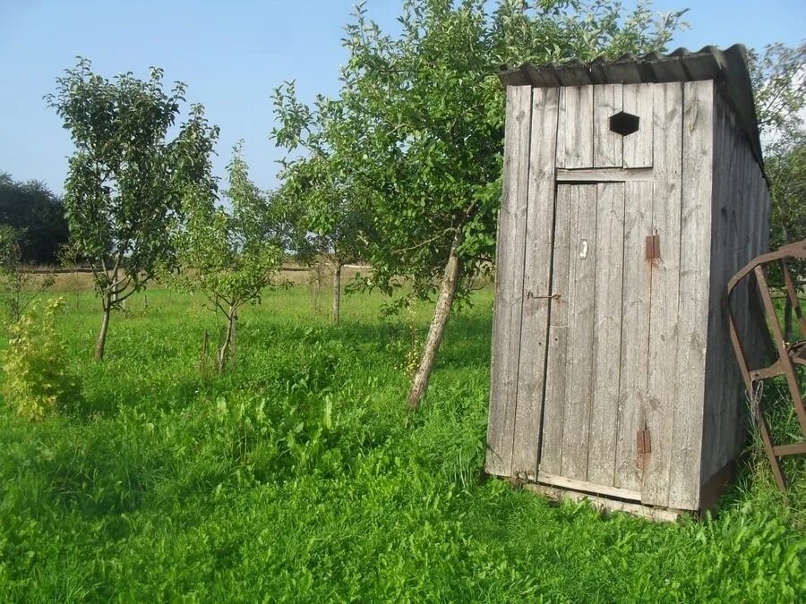 Сельский туалет. Деревенский туалет в огороде. Туалет на улице. Сельский туалет на огороде. Где живут виднее