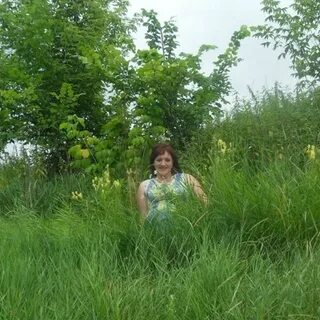 Приколотное харьковская