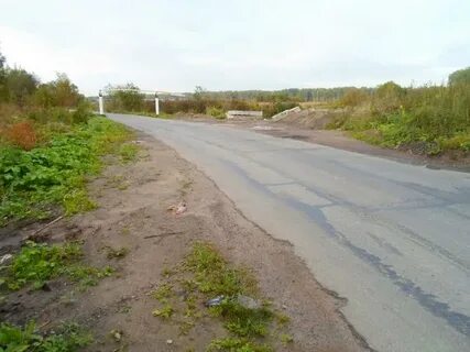 Погода янино 1