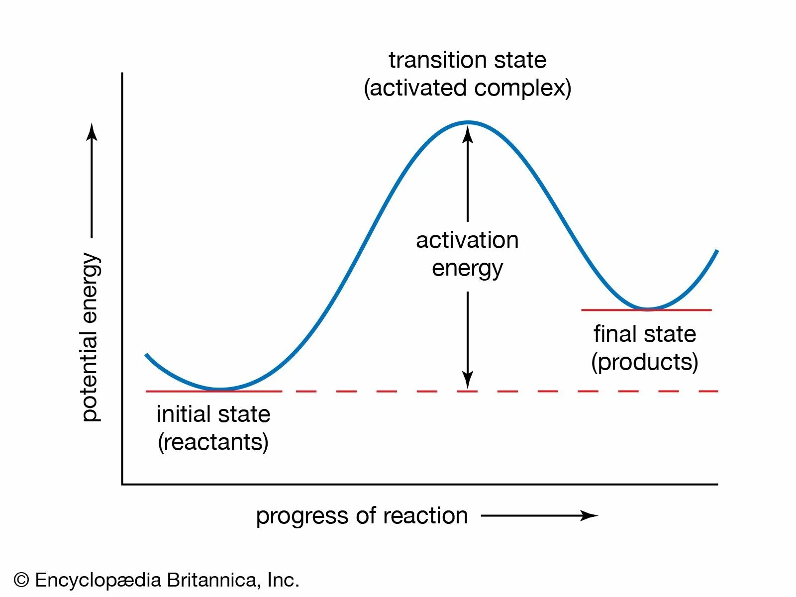 Норма реакции график. Activation Energy. Activation Energy of the Reaction. Норма реакции на графике. State theory