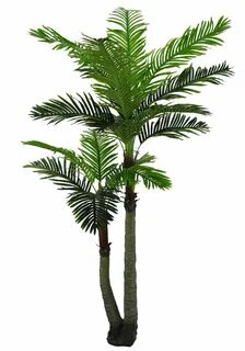 Planta одежда