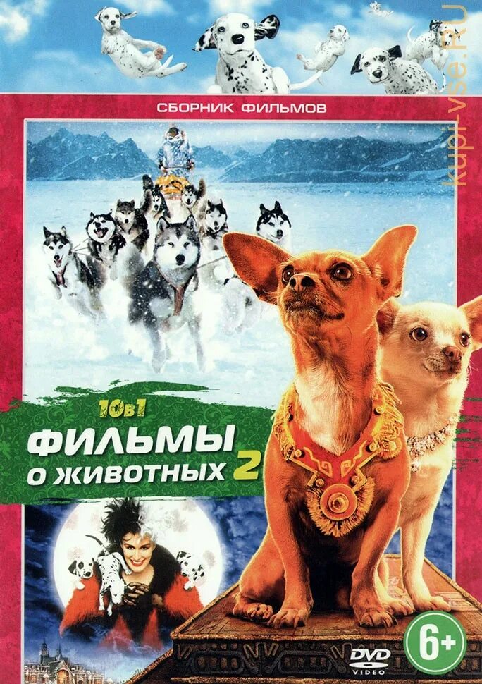 Сборник про животных. Dvd диски про животных. сборник животных сборник.