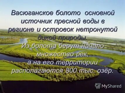 Болото естественное или пресное