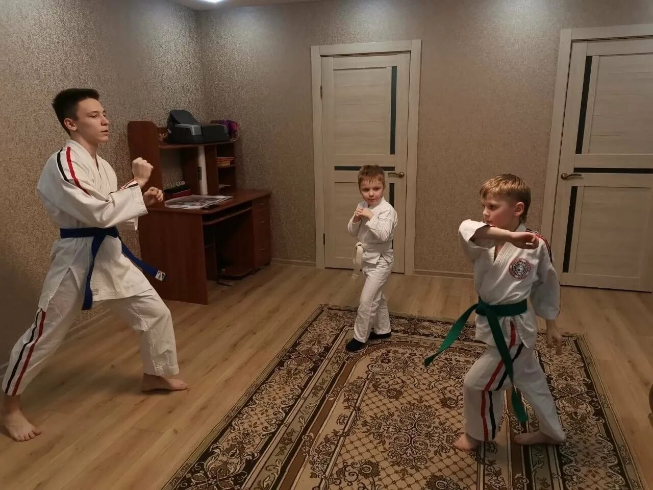 Александр негатуров каратэ. Кихон каратэ дома. Домашнее карате. Клочков виктор александрович альметьевск. Домашнее карате.