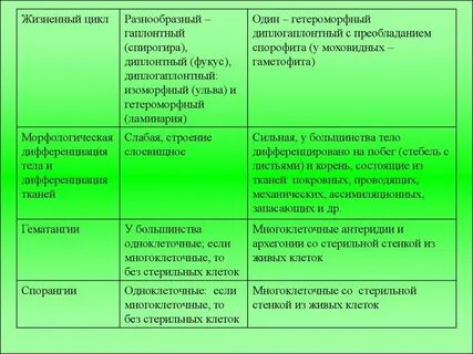 Появление покровной механической и проводящей тканей таксон