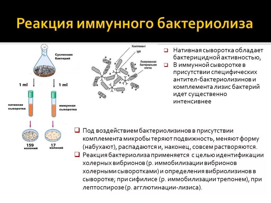 Комплемент сыворотка. Реакция иммунного бактериолиза. Реакция иммунного бактериолиза механизм. Реакция иммунного бактериолиза микробиология. Реакция бактериолиза механизм.