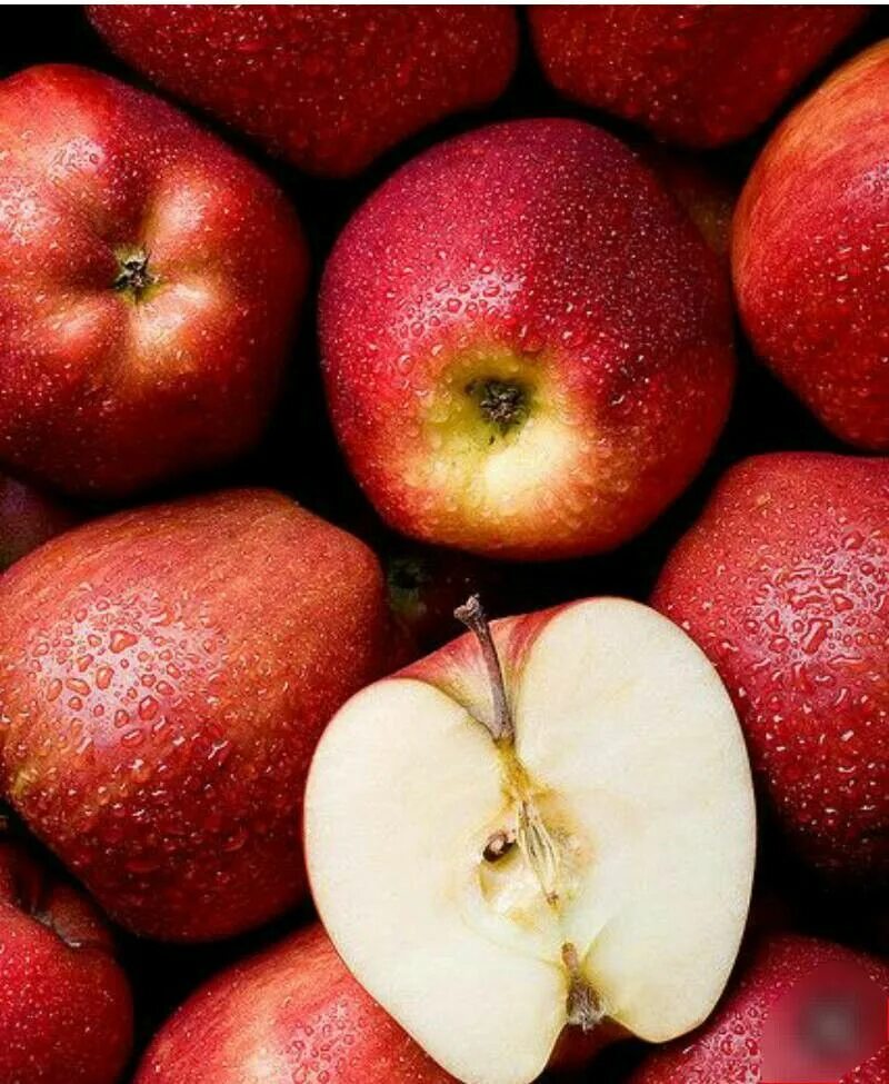 Яблоня сочное. Яблоки красные. Сочное яблоко. Вкусное сочное яблоко. Красивое красное яблоко.