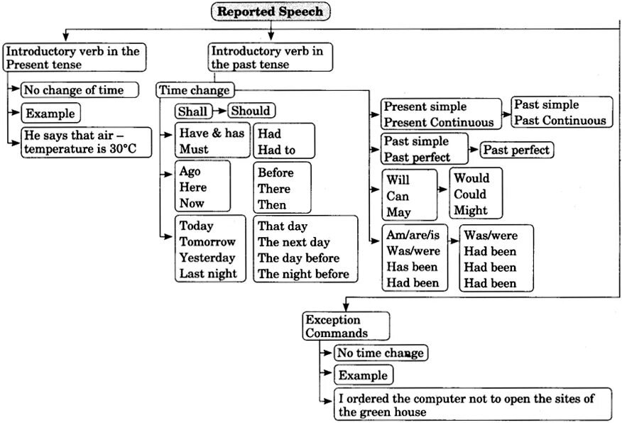 Reported Speech. Reported Speech exercises 8 класс. Reported Speech 8 класс. Reported Speech exercises. Reported speech present