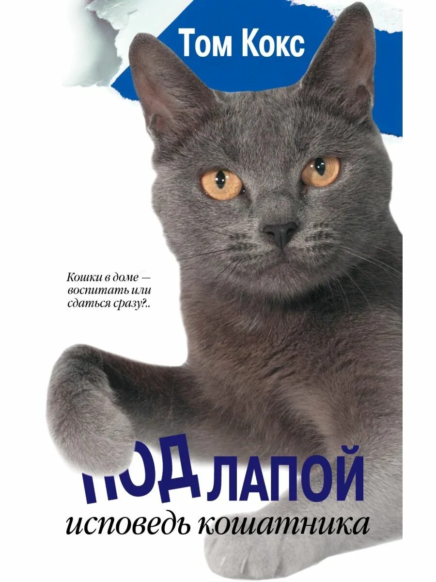 Под аст