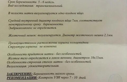 Первое узи подтверждение беременности