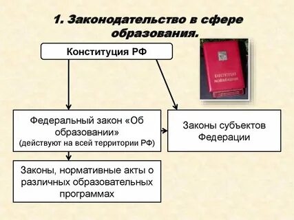 Что обеспечивает право на образование обществознание 6
