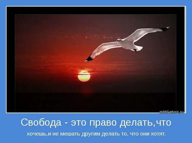 Свобода мотиватор. Свобода это прекрасно. Свобода картинки. Внутренняя Свобода. Свобода есть право делать