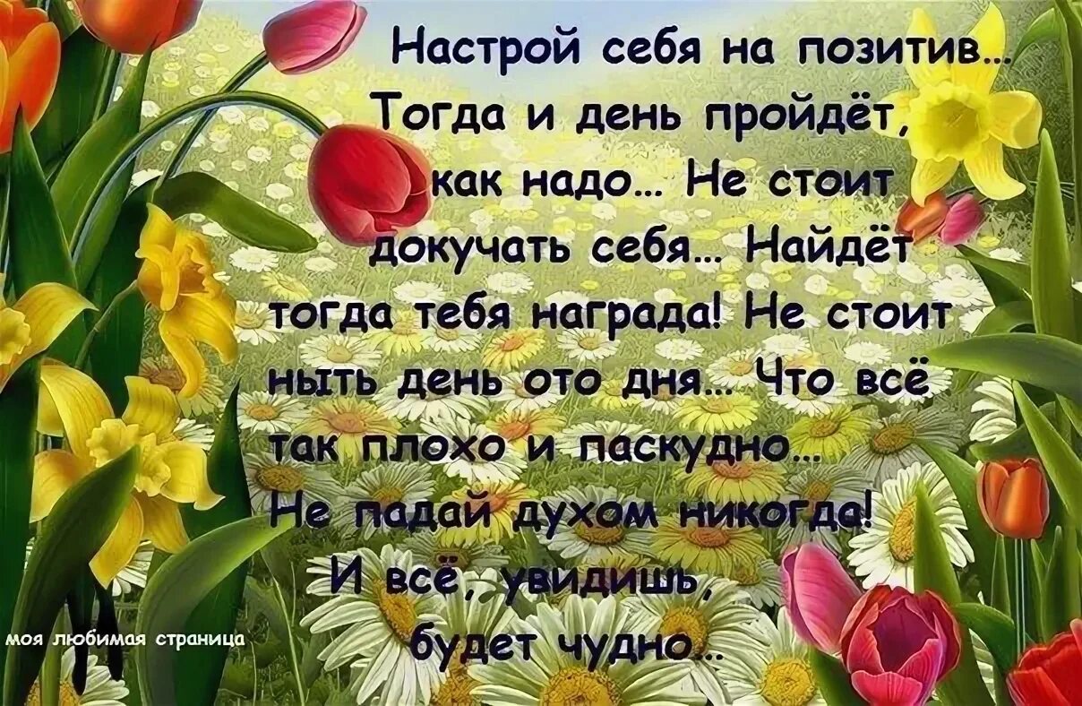 Настрой на телефоне цвета. Позитивные пожелания в стихах. Красивые стихи о позитиве. Красивые позитивные стихи. Красивые стихи о жизни позитивные.