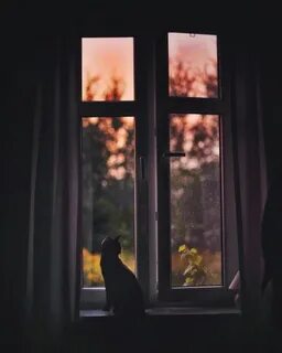 За окном тишина на душе