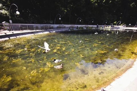 Состоянием водоема