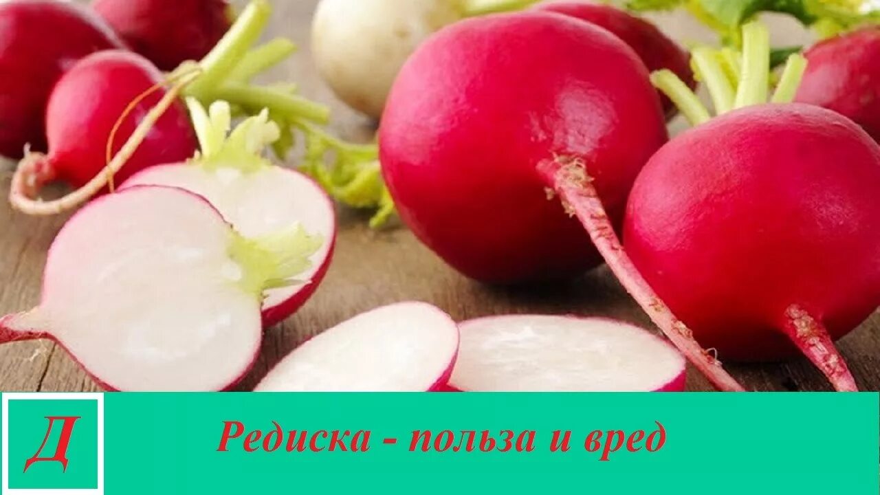 Редиска для здоровья