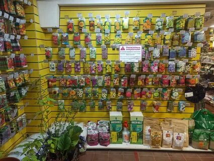 практик сада телефон (93) фото