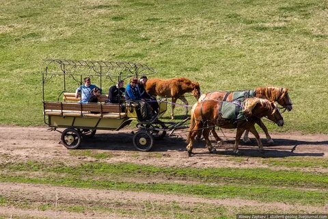Кудыкина транспорт
