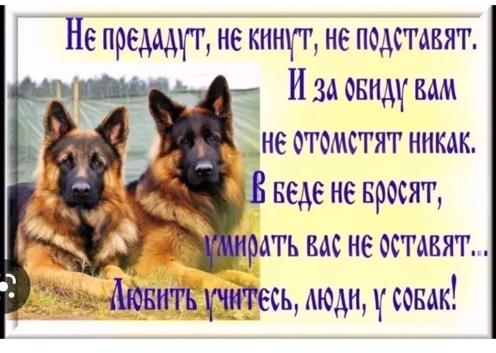 Верный человек надежный