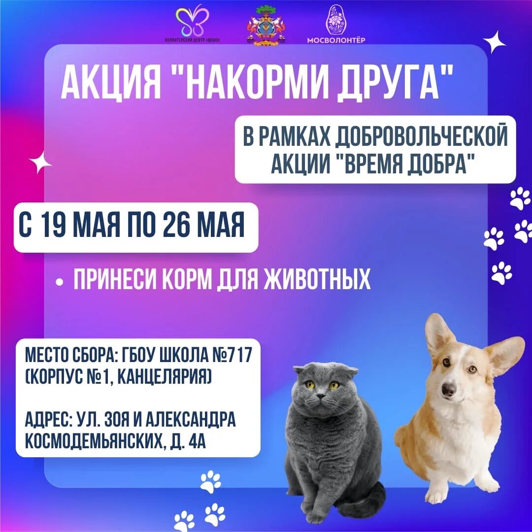 Акция покорми животных. Акция накорми друга. мы запускаем акцию. формула игр накорми друга.