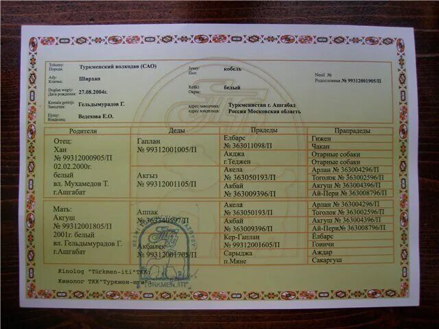 родословная ркф алабай. родословная щенка как выглядит. родословная собаки ркф. родословные сао. родословная собаки международного образца.