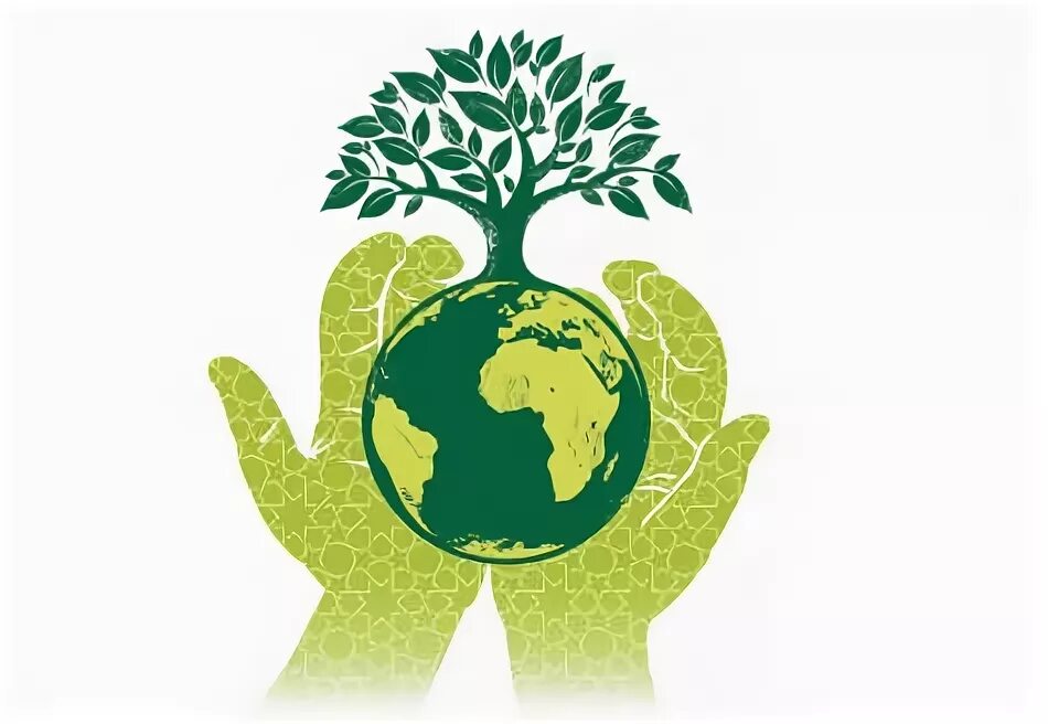 The environment is