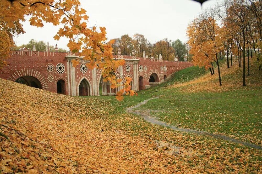 Царицыно 29. Парк Царицыно. Парк заповедник Царицыно. Царицынский парк в Москве. Парк Царицыно осень.